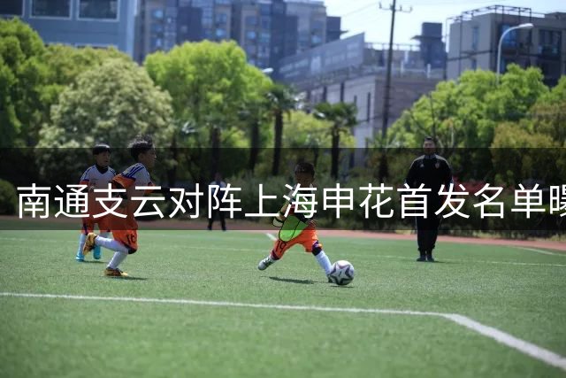南通支云对阵上海申花首发名单曝光：锋线对决看点十足