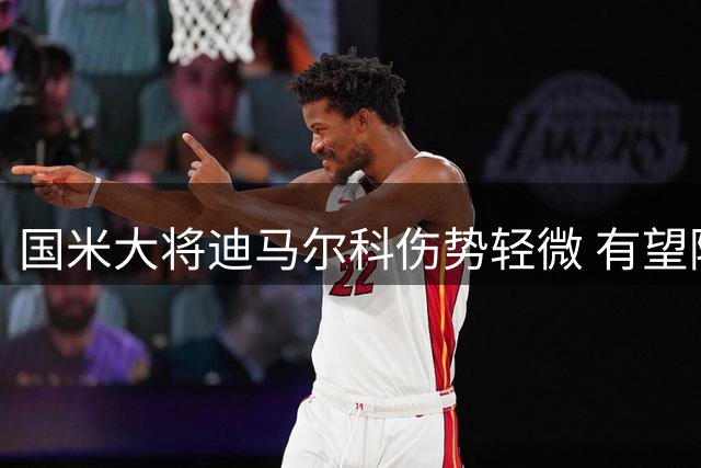 国米大将迪马尔科伤势轻微 有望随队出征伯纳乌