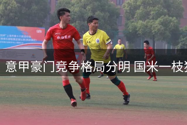 意甲豪门竞争格局分明 国米一枝独秀米兰借欧联突围