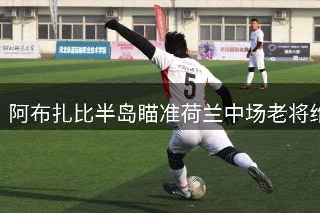 阿布扎比半岛瞄准荷兰中场老将维纳尔杜姆